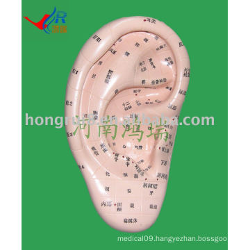 Ear Massage Model 17cm